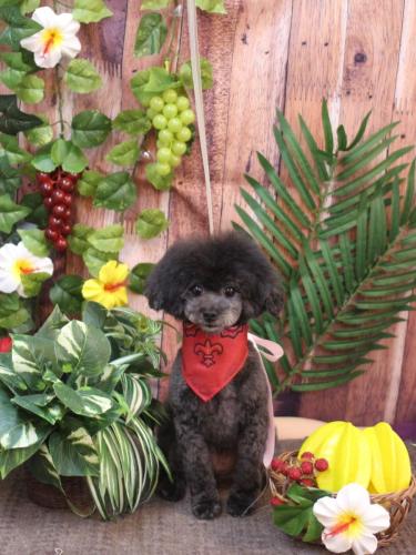 20230823NEROちゃん